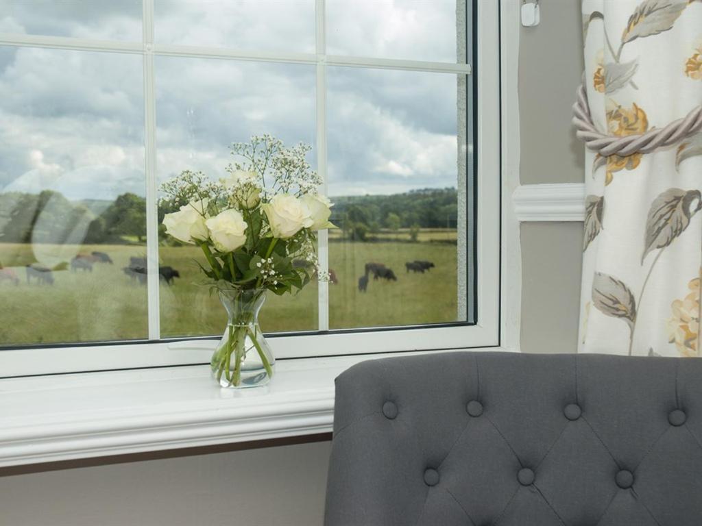 Bed and Breakfast Poole Farm Launceston Pokój zdjęcie